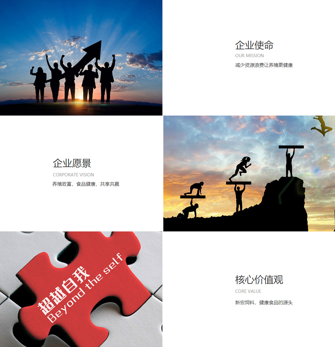 XBET星投APP(图1)